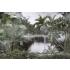 Sisli Tropikal Orman Ağaçlar Yapraklar Duvar Kağıdı 4334