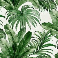 Tropikal Yaprak Desen Duvar Kağıdı 4714-4