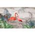 Tropikal Yaprak Flamingo Desen Duvar Kağıdı 4216