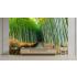 Bambular Yol Desen Duvar Kağıdı 4855