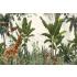 Tropikal Orman Hayvanlar Desen Duvar Kağıdı 3581